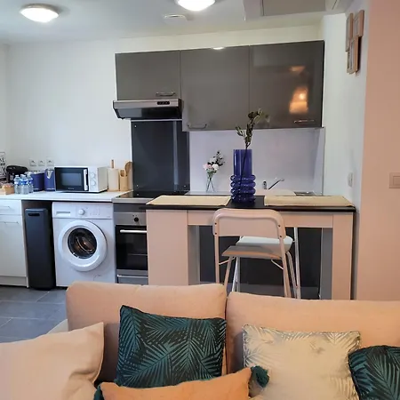 Cocooning House 211 Suite Azur Appartement Aeroport Paris Roissy Cdg, Parc Asterix, Chateau De Chantilly, Stade De France Survilliers Esterno foto